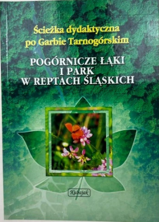 pogornicze łąki.png