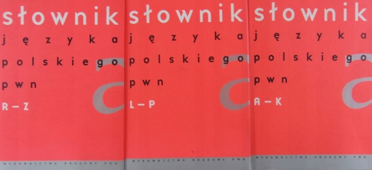 slownikjzykapolskiego.png