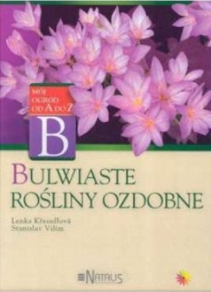 bulwiaste.png