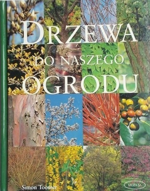 drzewadonaszegoogrodu.png