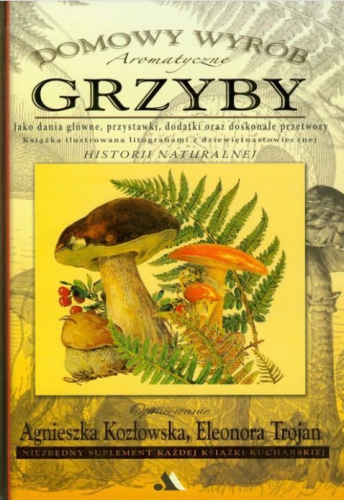 grzyby.png