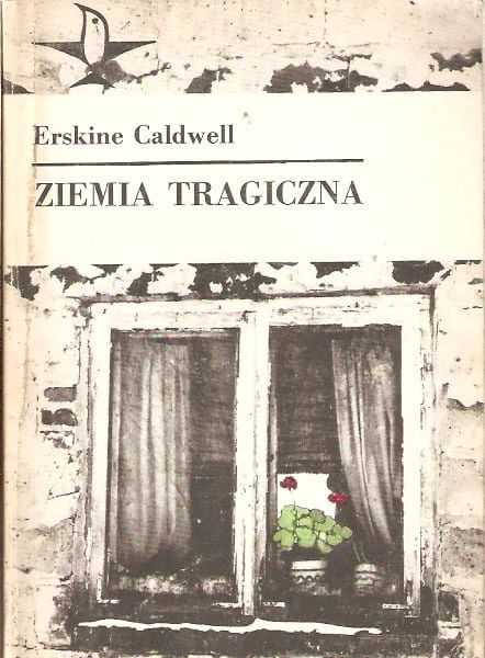 7286272396