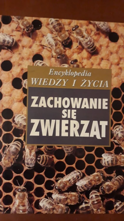 7762801509