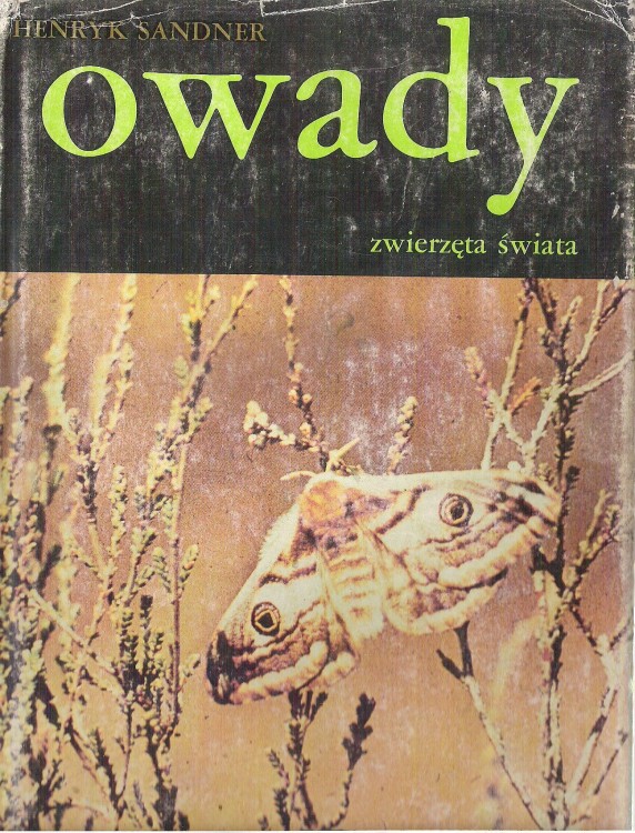 7048925085