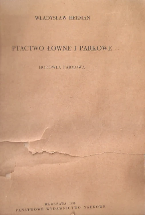 7218067029
