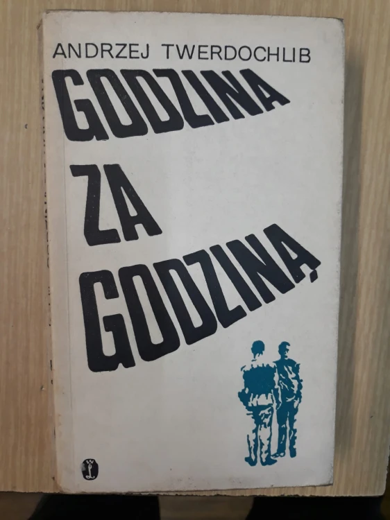 7658808177