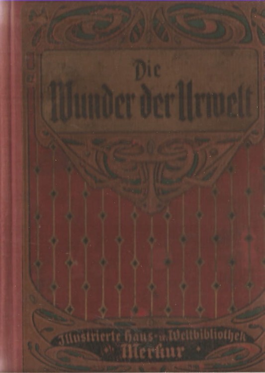 7254352218