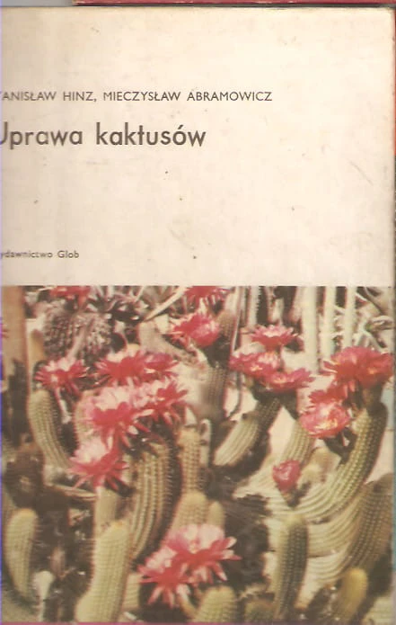 7098139032