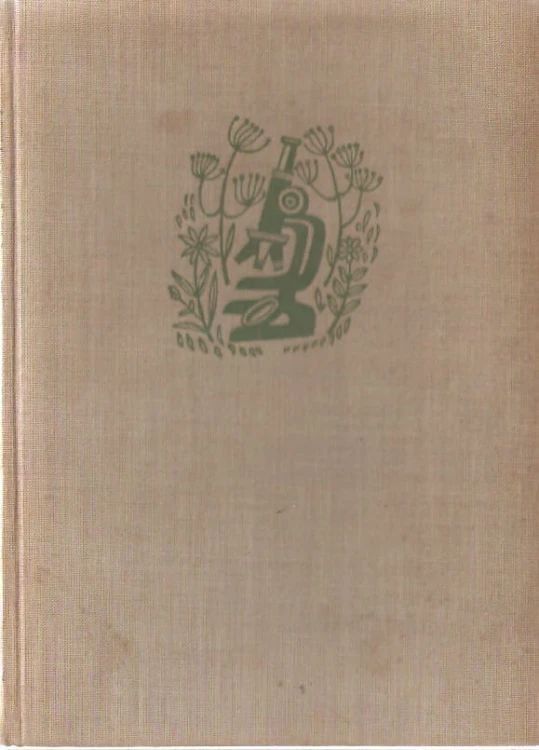 7268508065